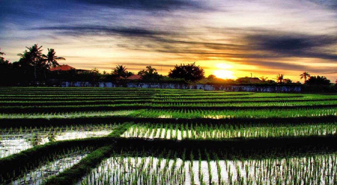 Ngeluwungan Boutique Hostel Canggu Zewnętrze zdjęcie