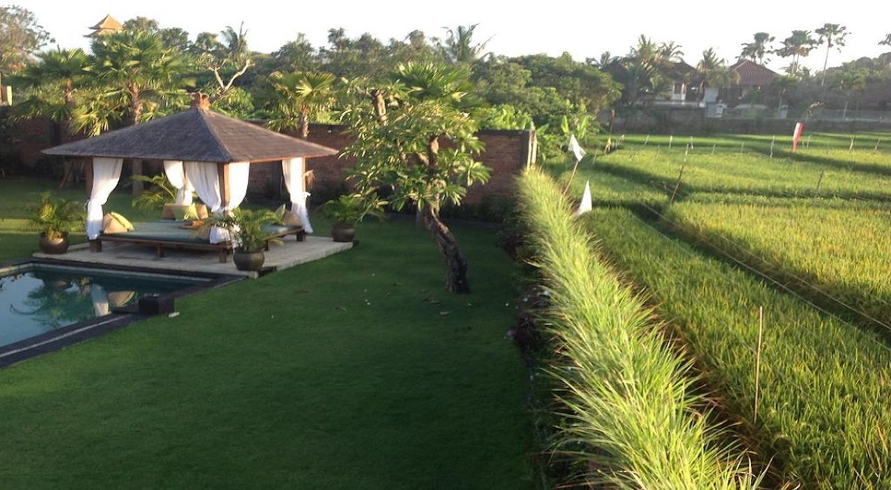 Ngeluwungan Boutique Hostel Canggu Zewnętrze zdjęcie