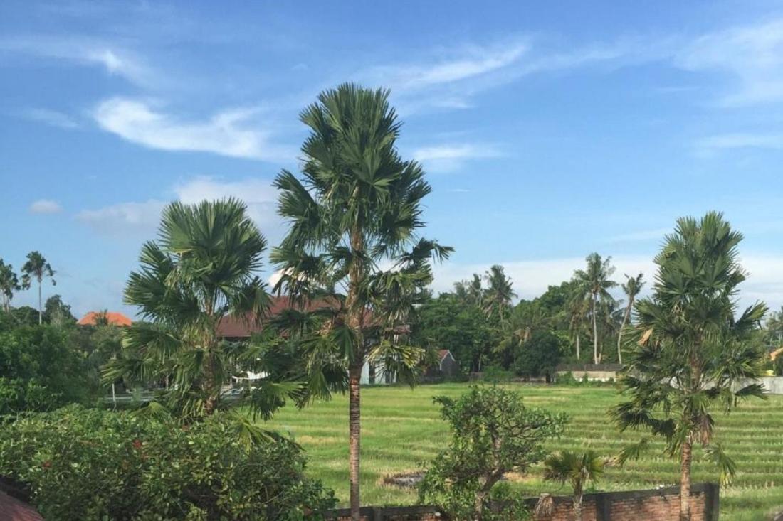 Ngeluwungan Boutique Hostel Canggu Zewnętrze zdjęcie
