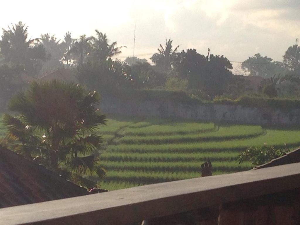 Ngeluwungan Boutique Hostel Canggu Zewnętrze zdjęcie